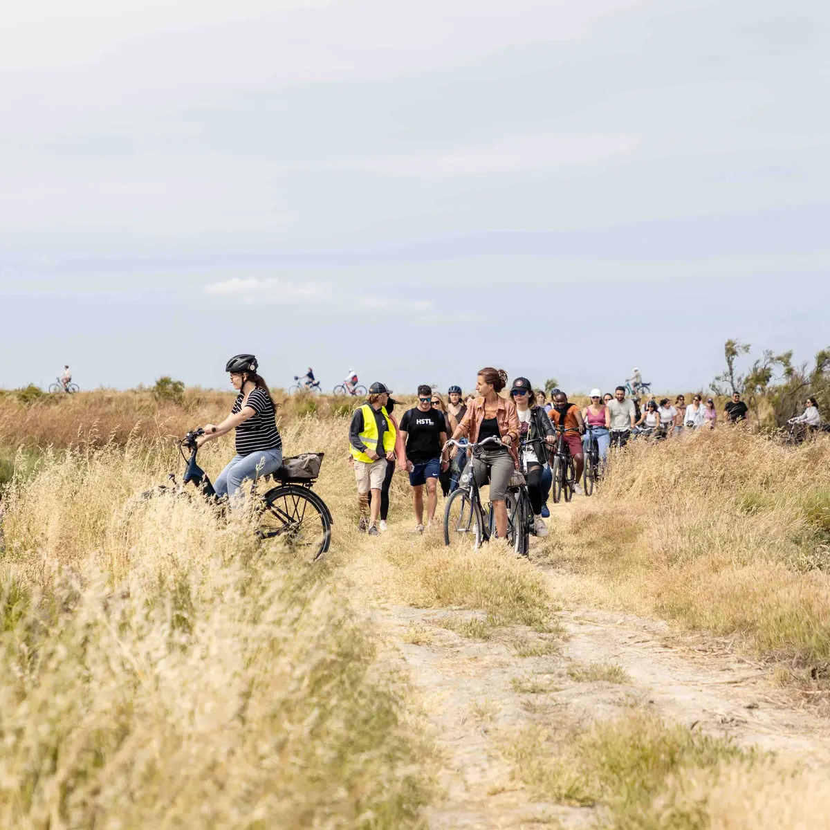 Les Cycles N - Geführter Rundgang