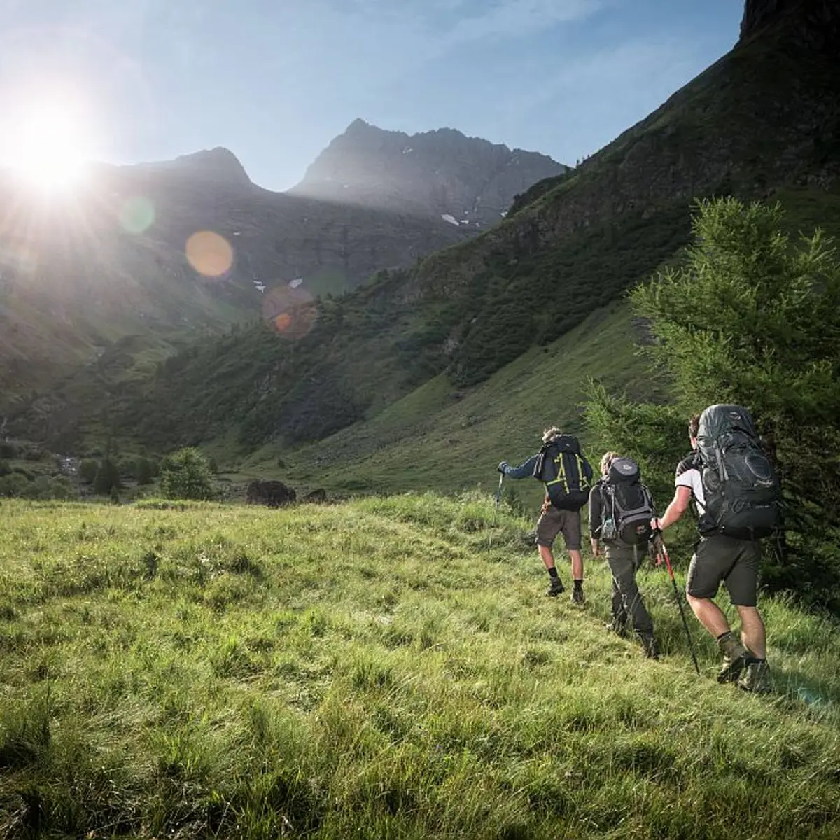 Pré de la Chaumette