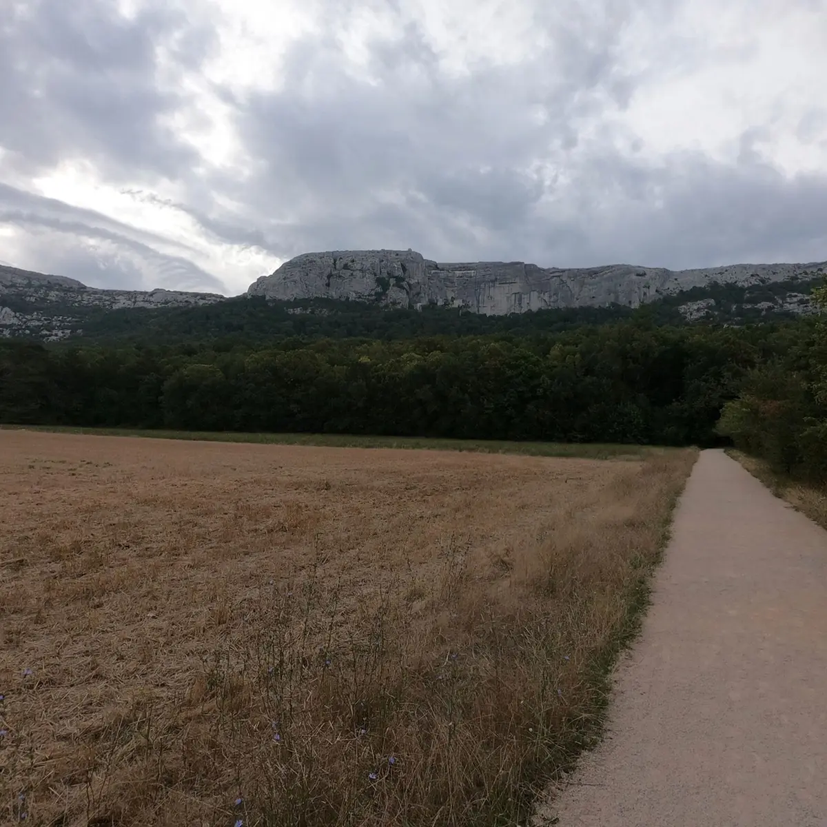 Panaroma sur le massif avec de la végétation au pied et une partie supérieure rocheuse