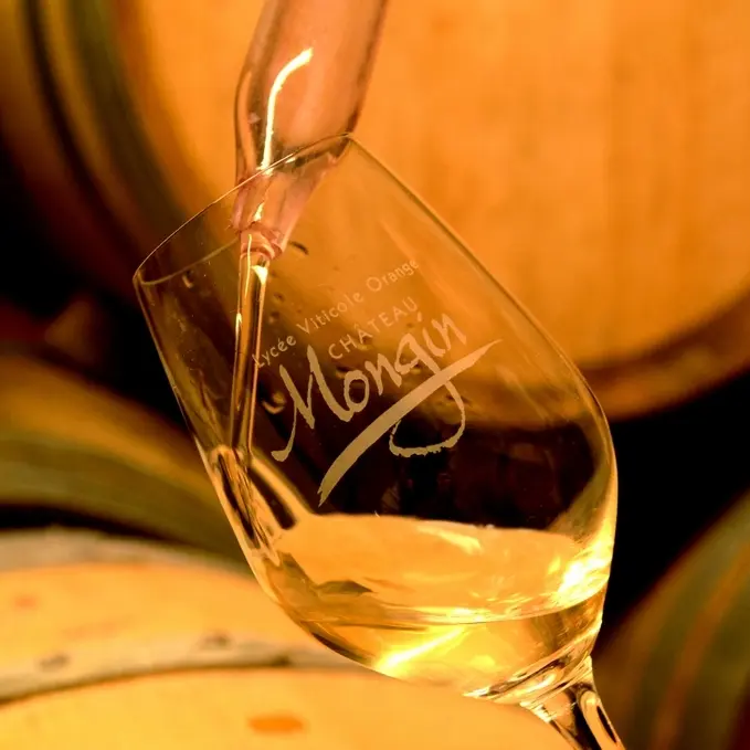 Verre dans le caveau du Château Mongin