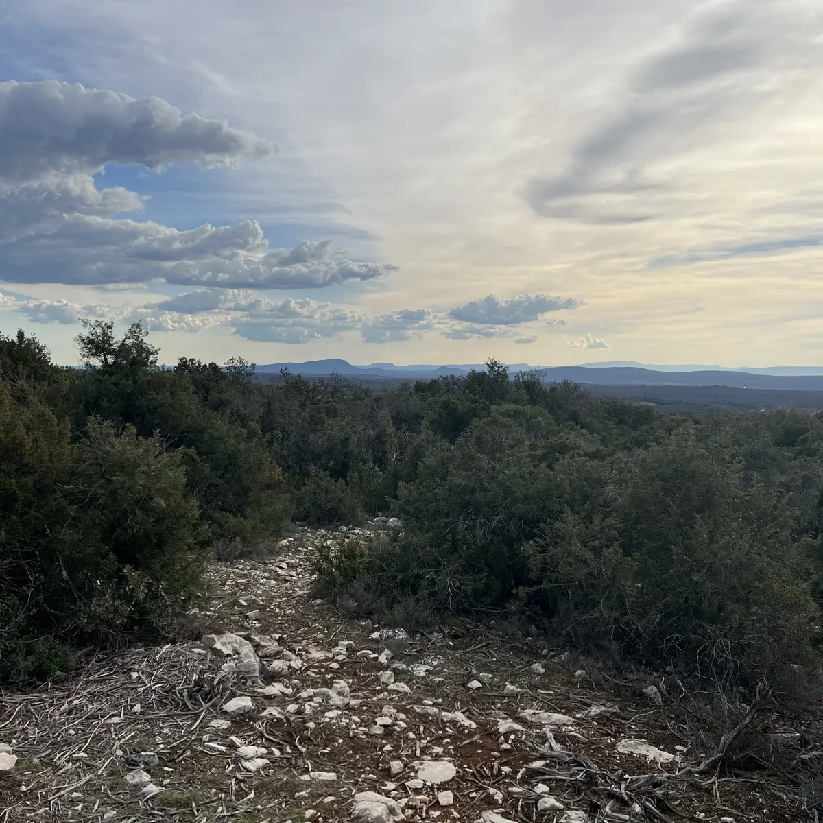 Belvédère Domaine les Eouvières
