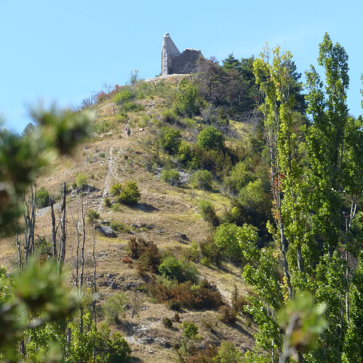 Tour en hauteur