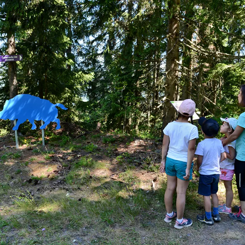 Parcours Cache-Cache des Animaux