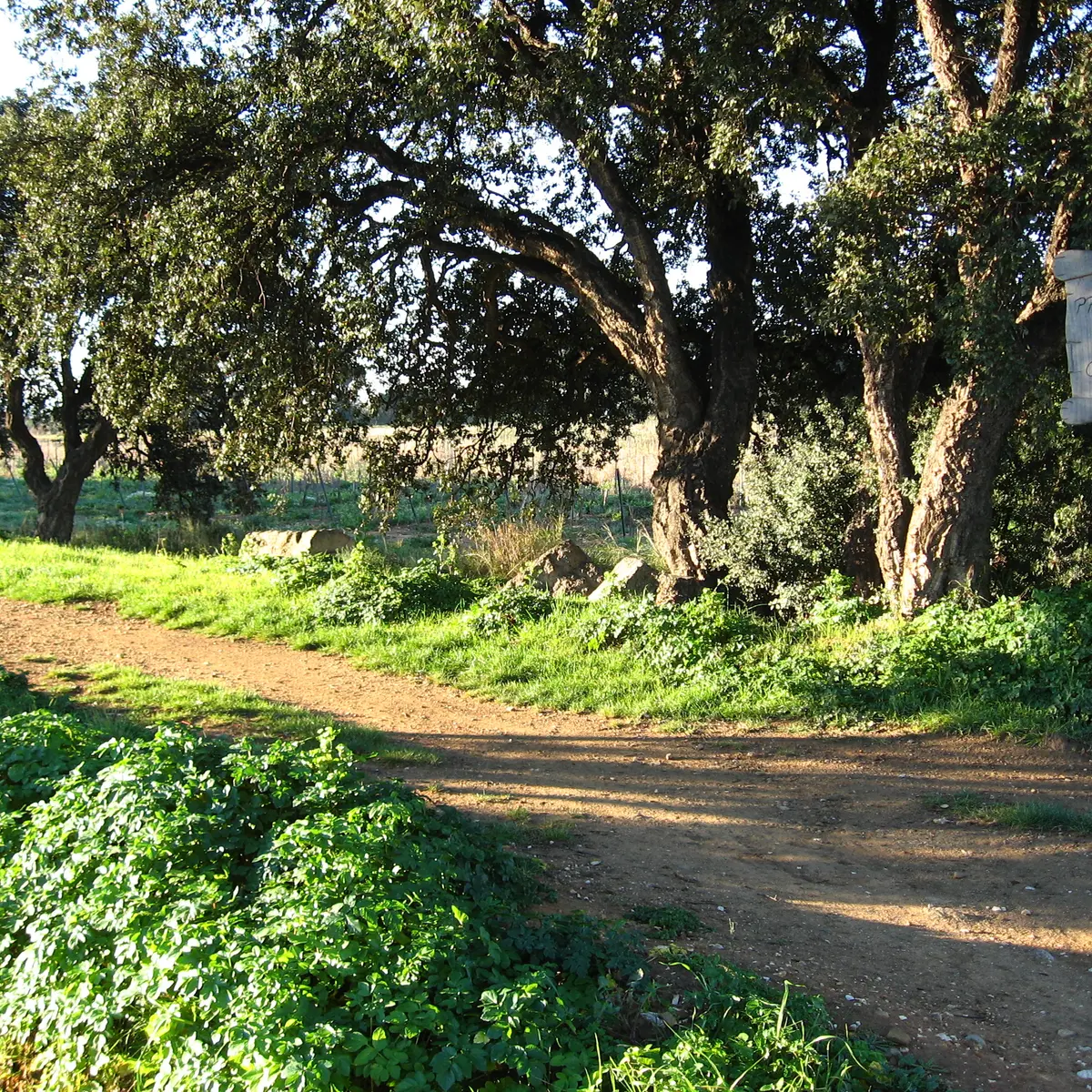 Sentier 2