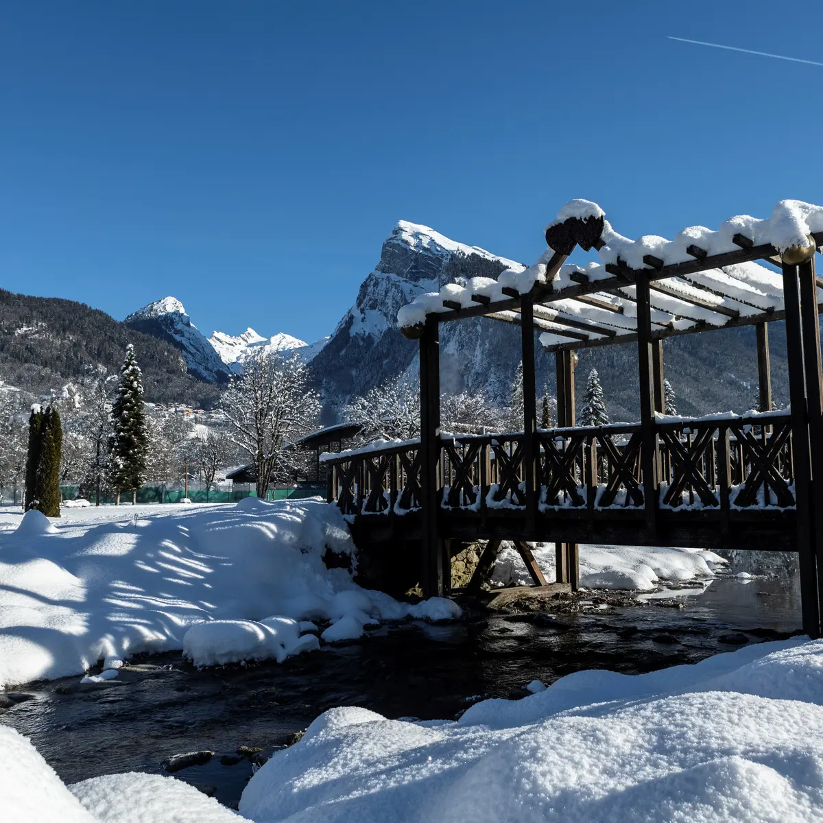 Passerelle du lac aux dames