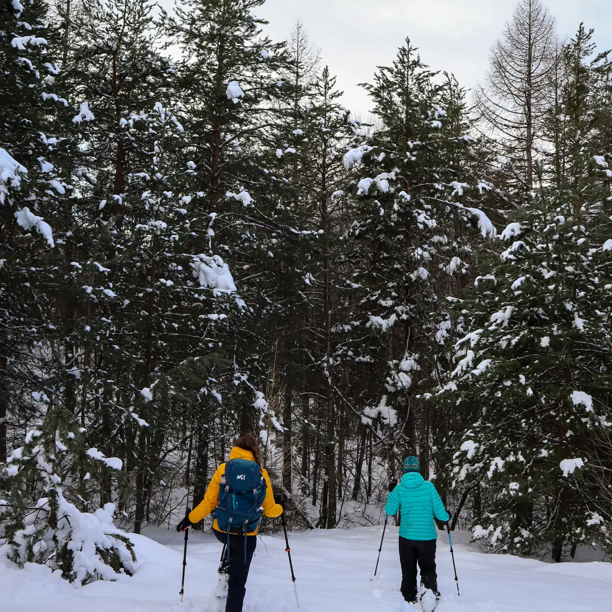 Raquettes Villard St Pancrace