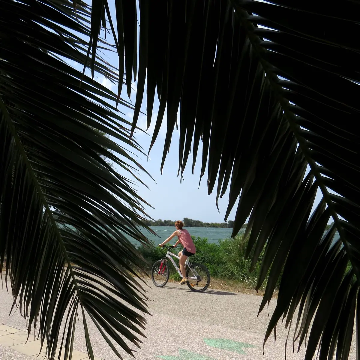 Cycliste sur les rives du Rhône