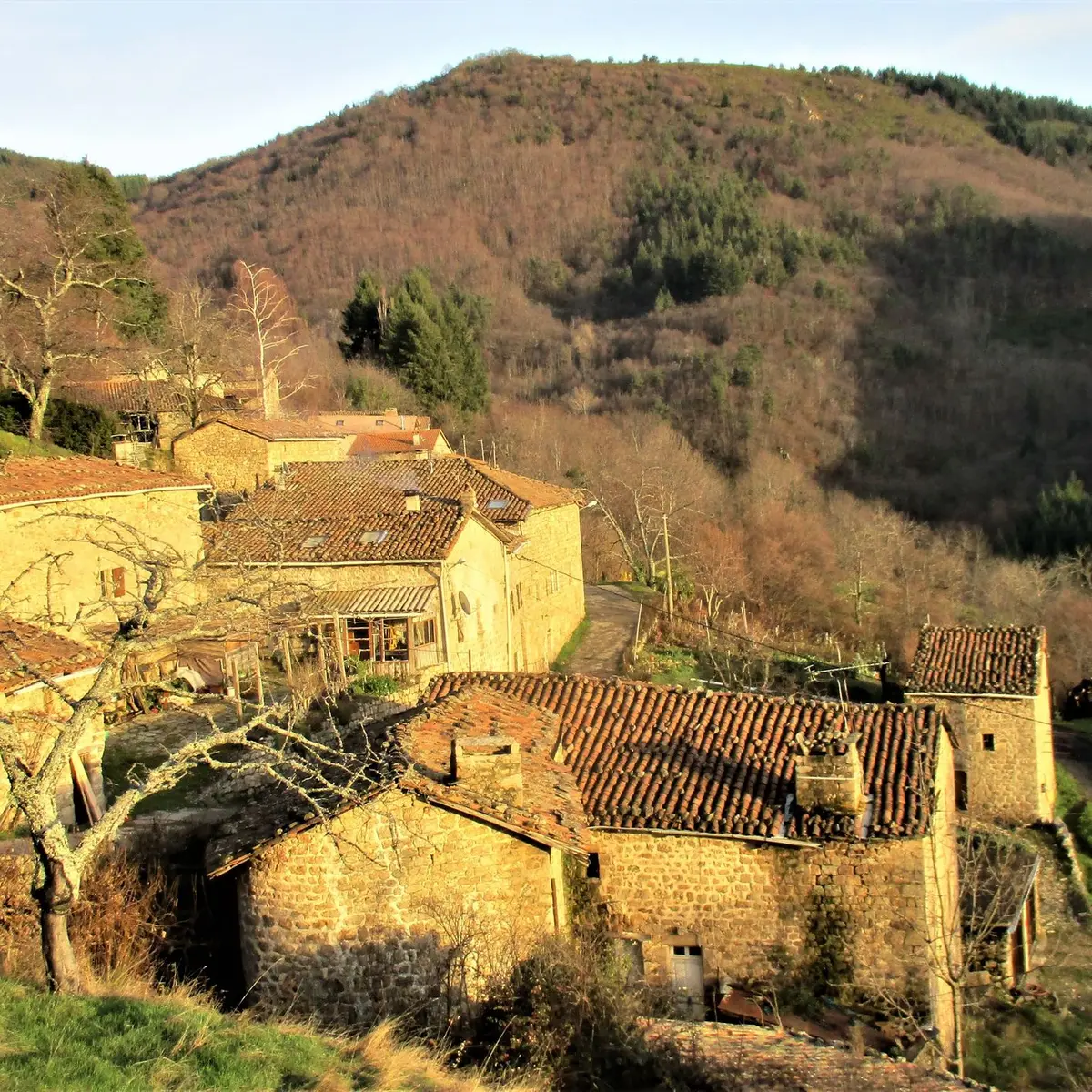 Hameau de Molines