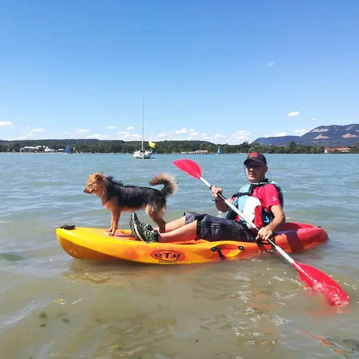 kayak