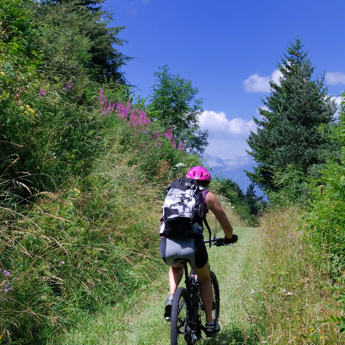 Cyclo