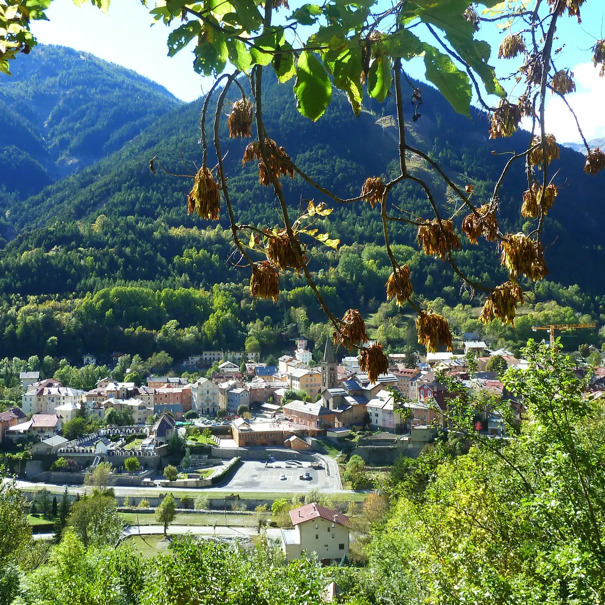 Village de Saint Etienne de Tinée