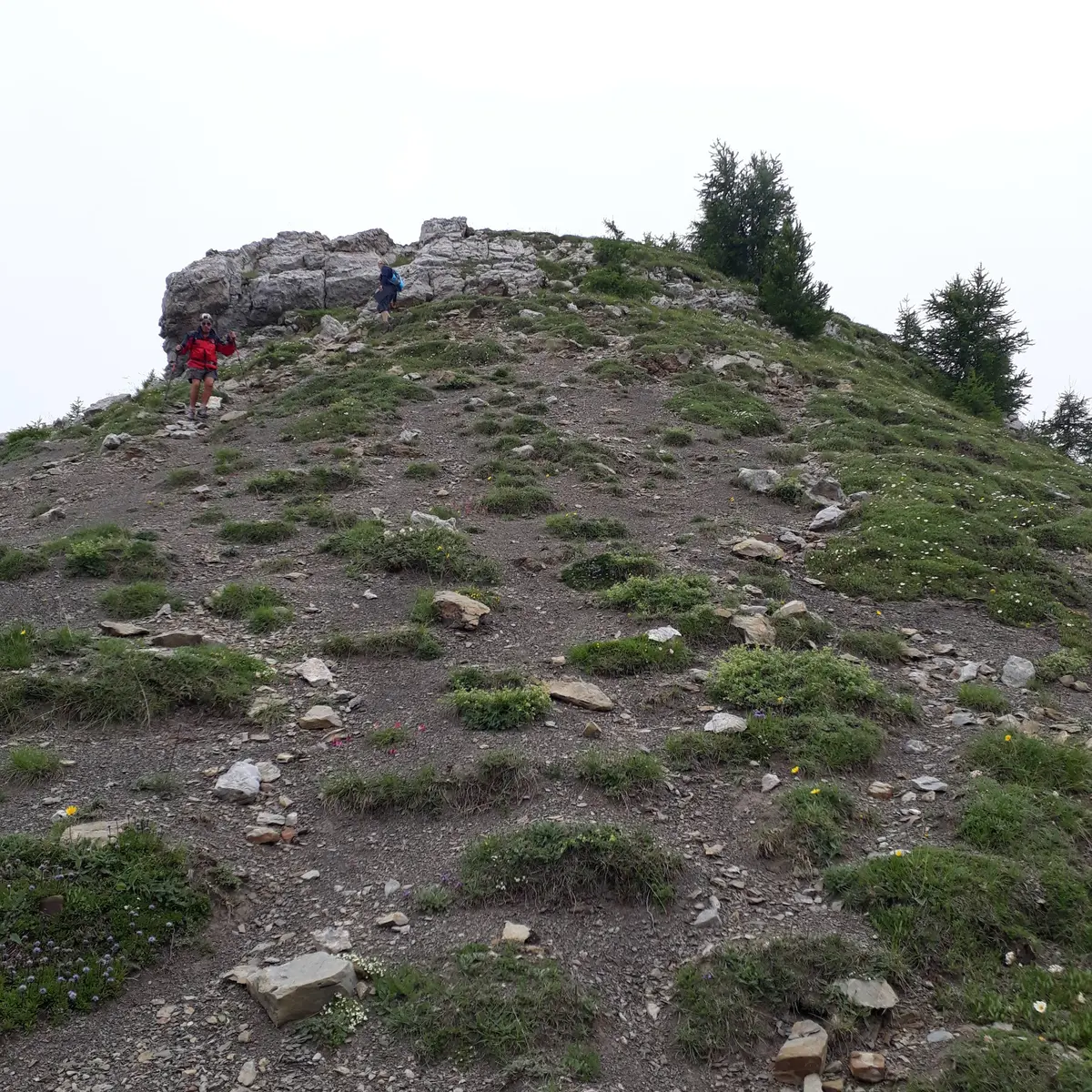 Descente entre sommet et col du Palastre