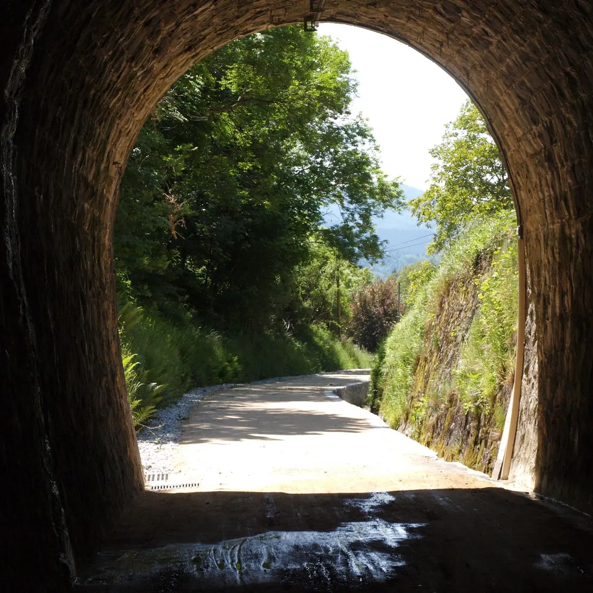 Tunnel des Nonières