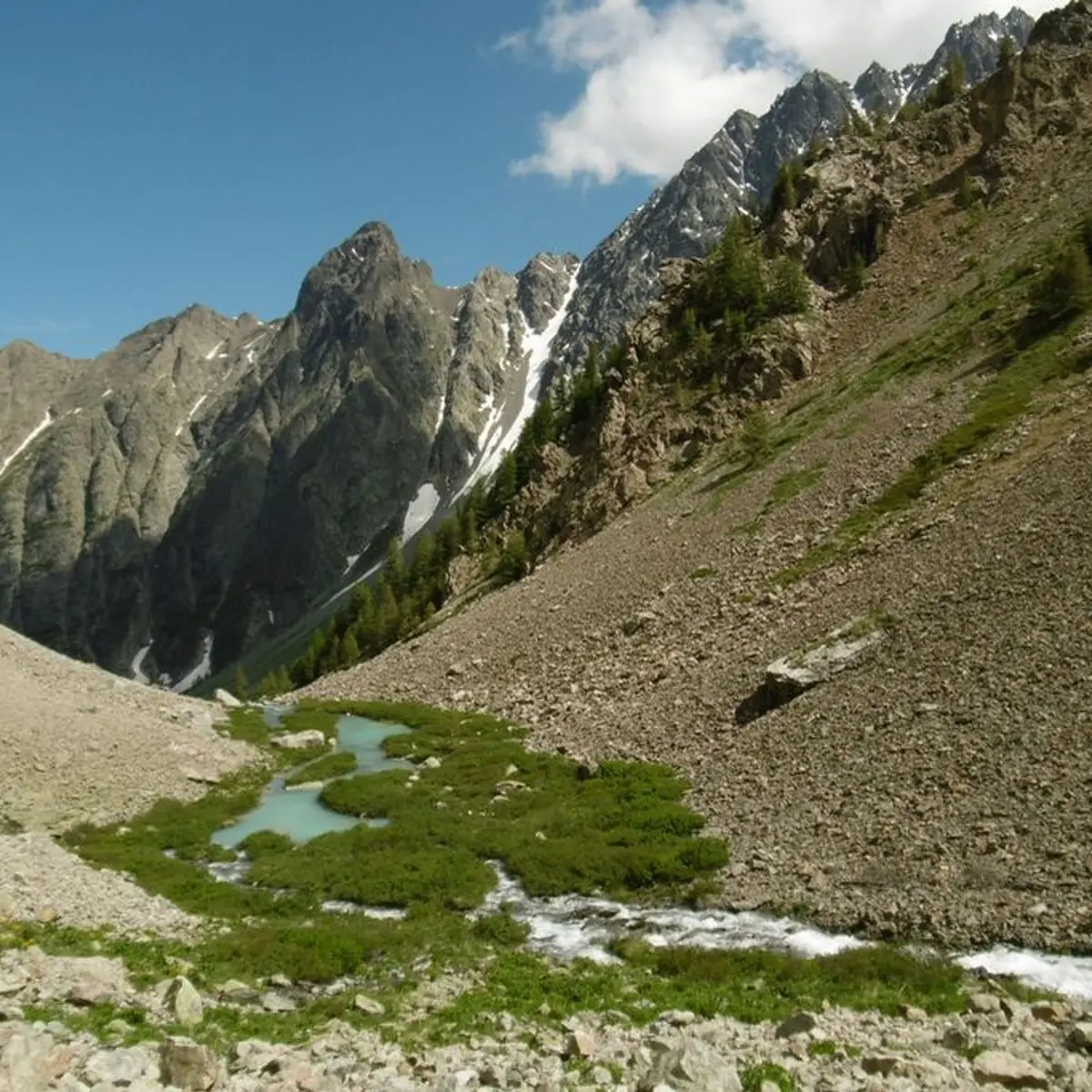 Torrent Le petit Tabuc