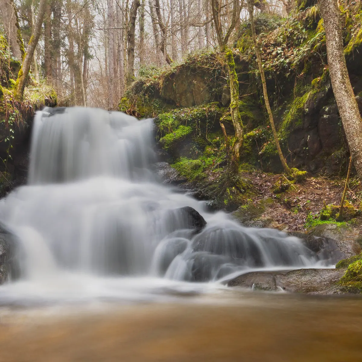 Cascade du petit Gornand