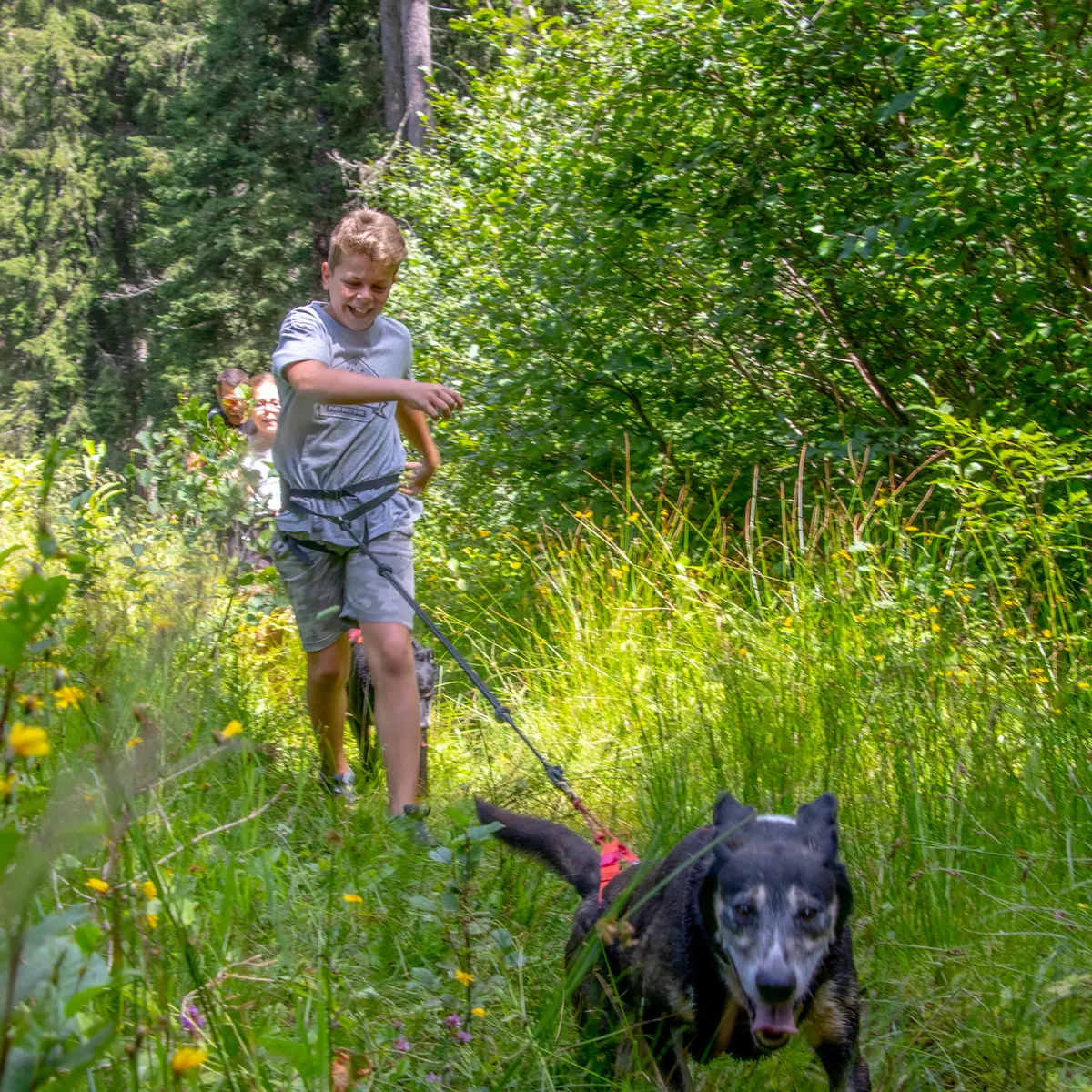Cani rando à Notre Dame de Bellecombe avec Expérience Montagne