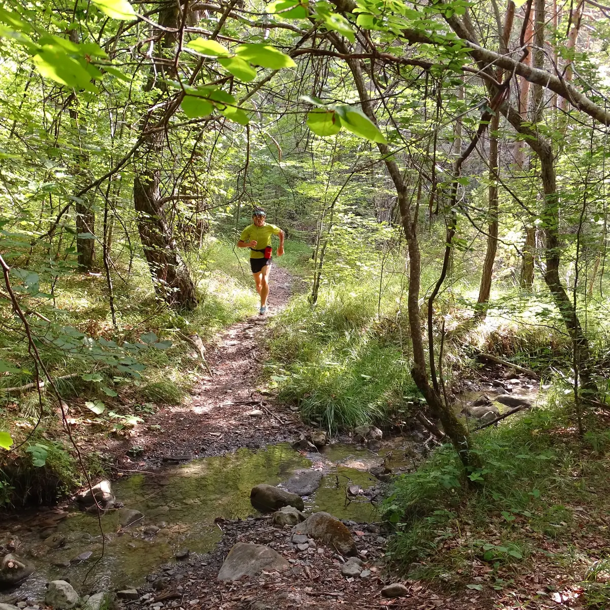 Un beau terrain de jeu pour les traileurs