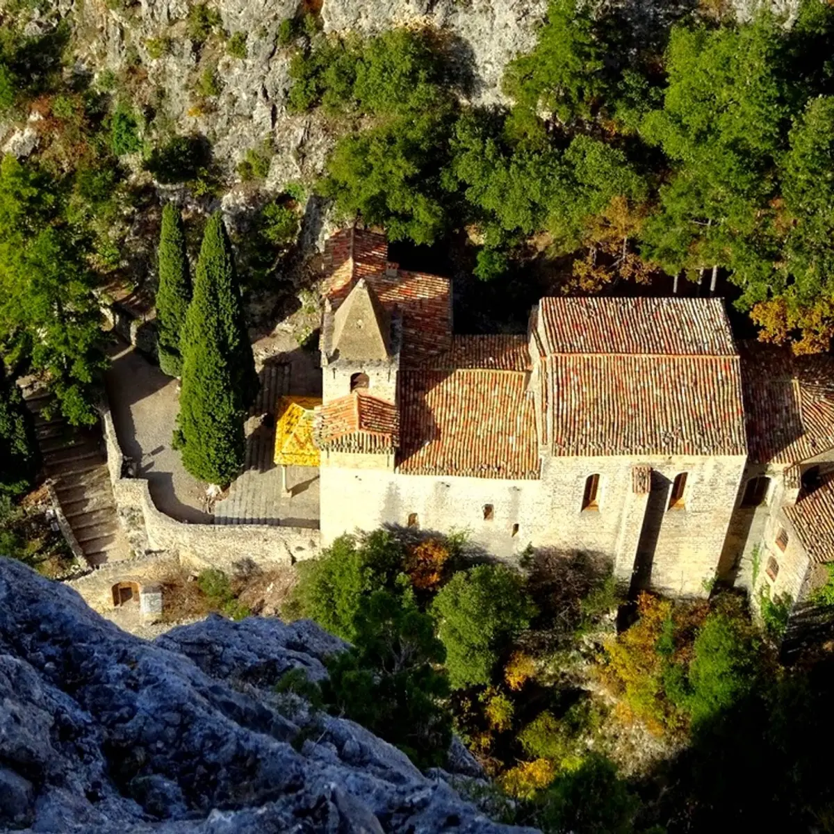 Notre Dame vue d'en haut