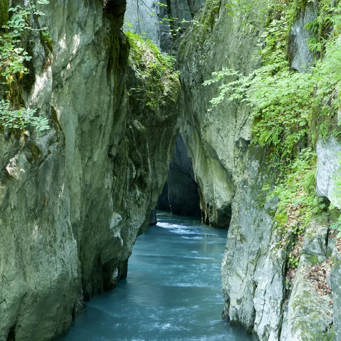 Le Giffre - la rivière - dans les gorges
