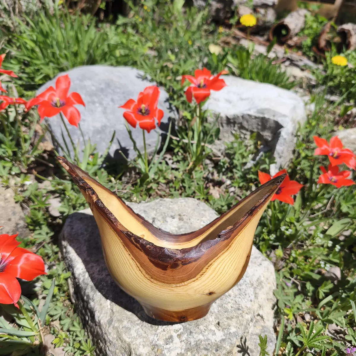 Vaisselle en bois