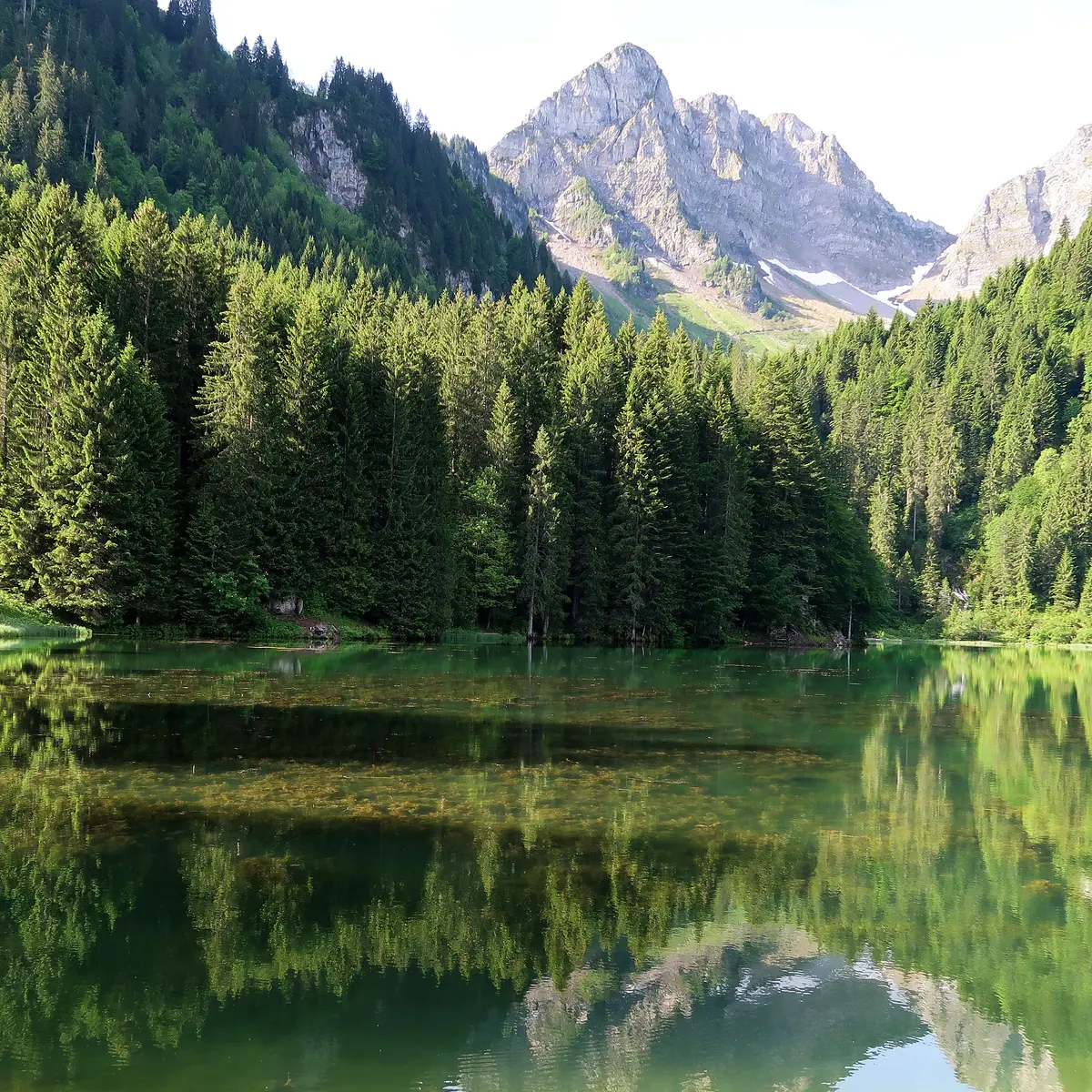 Lac des Plagnes