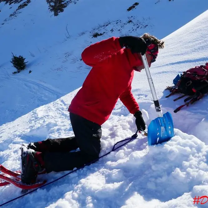 Formation survie hiver