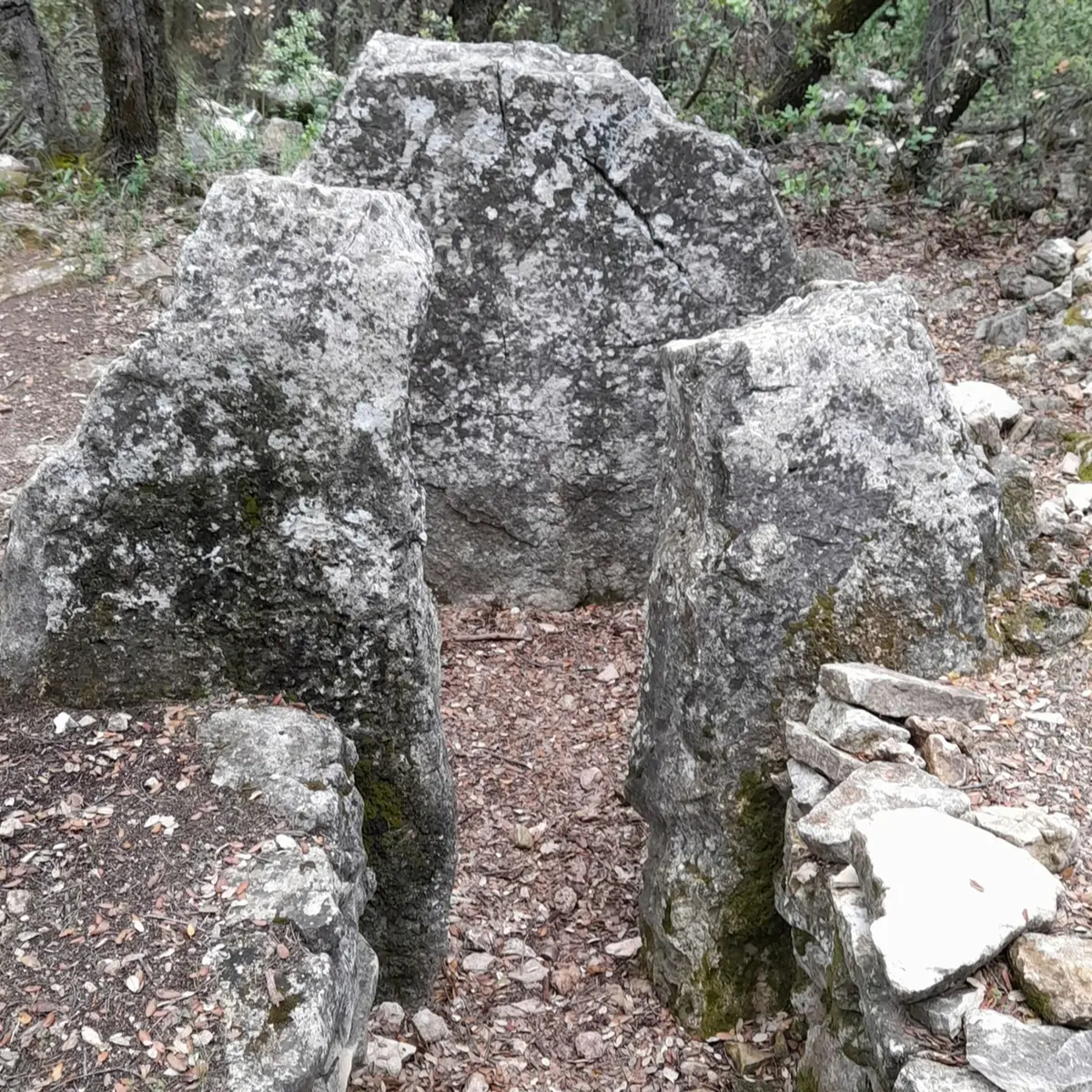 Vestiges du dolmen constitué d'un petit cheminement entouré de 2 murets en pierres grises