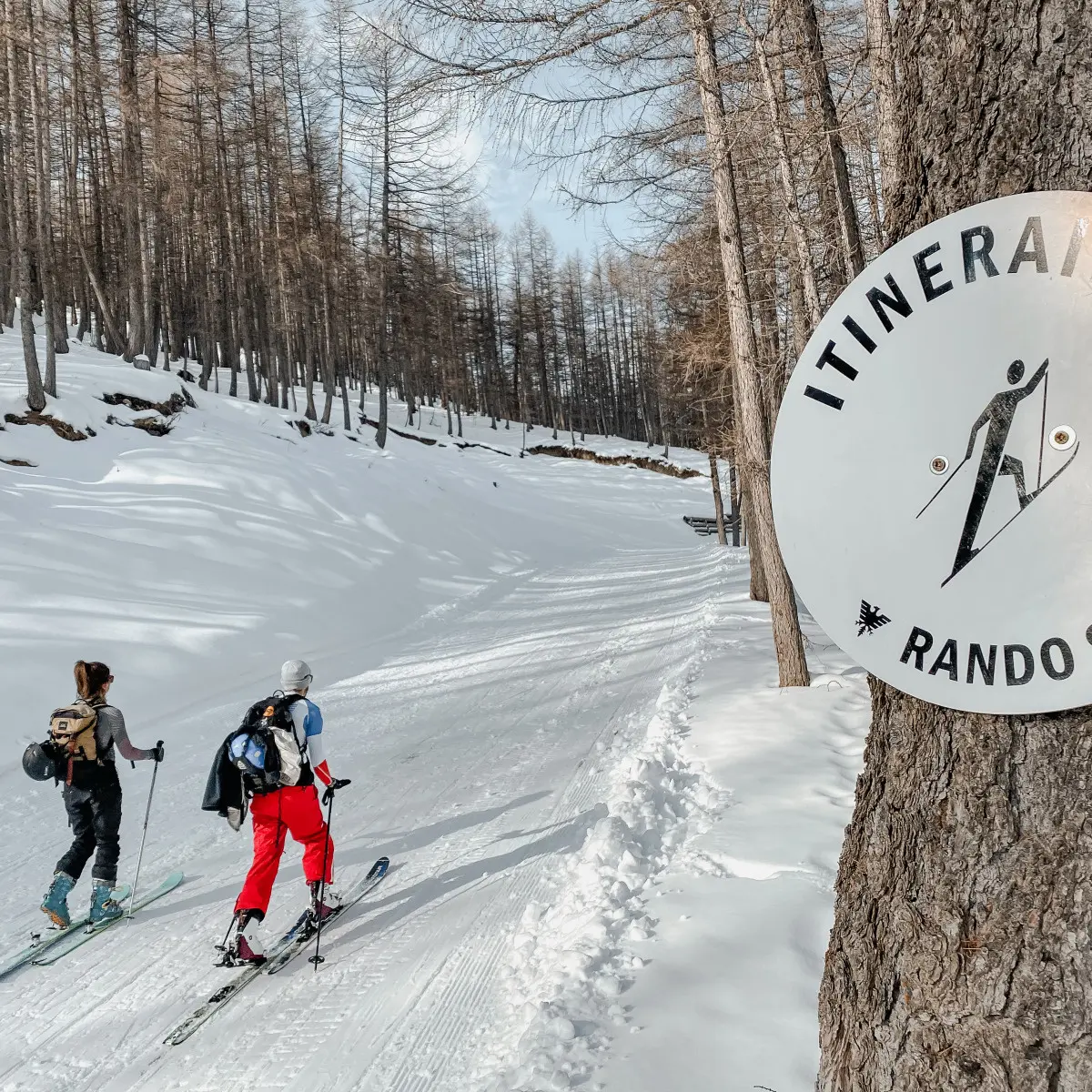 Itinéraire Brinzeï ski de randonné