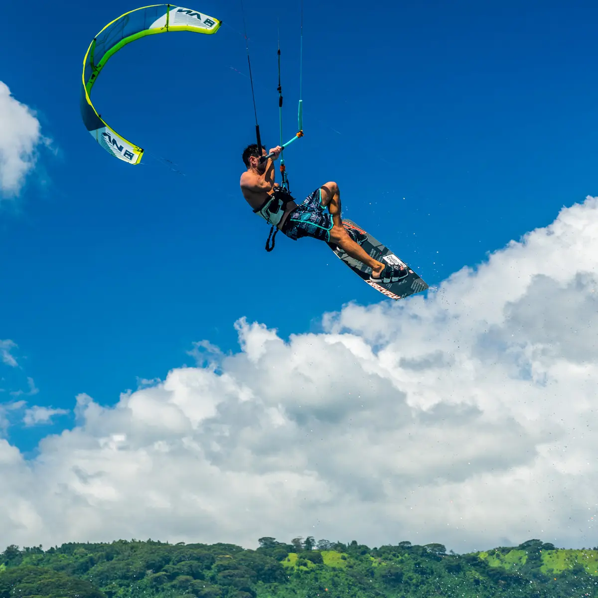 Pacific Kite