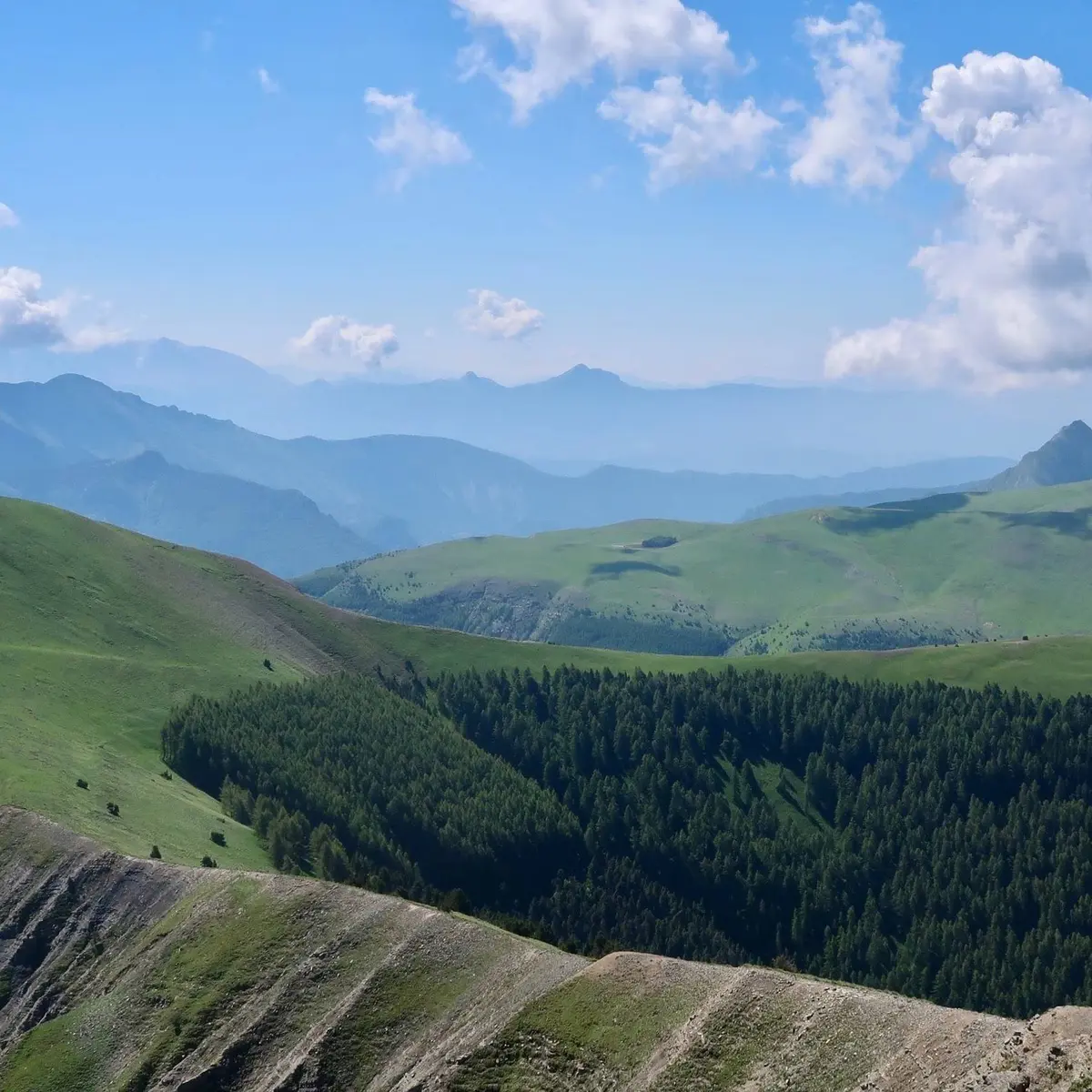 Très beau cheminement en crête