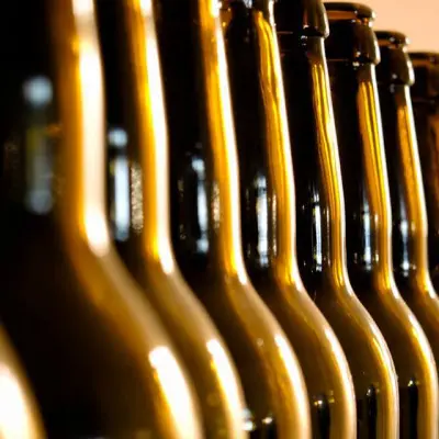 Initiation à la dégustation (et découverte du brassage)