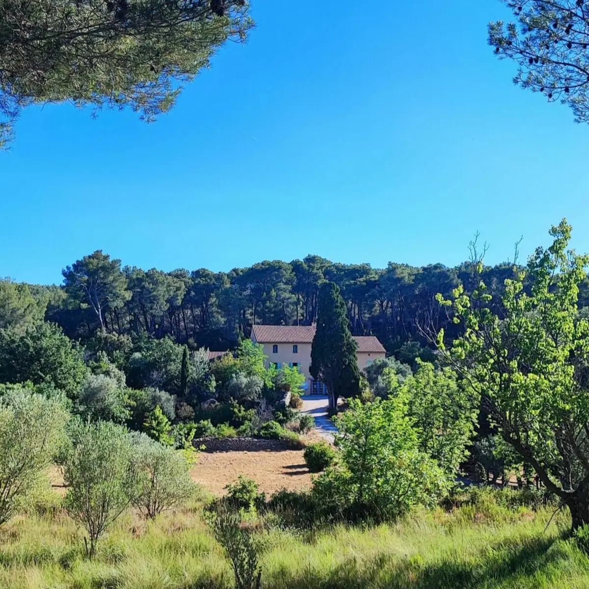 Vue sur la Maison de la Nature posée dans un écrin de verdure