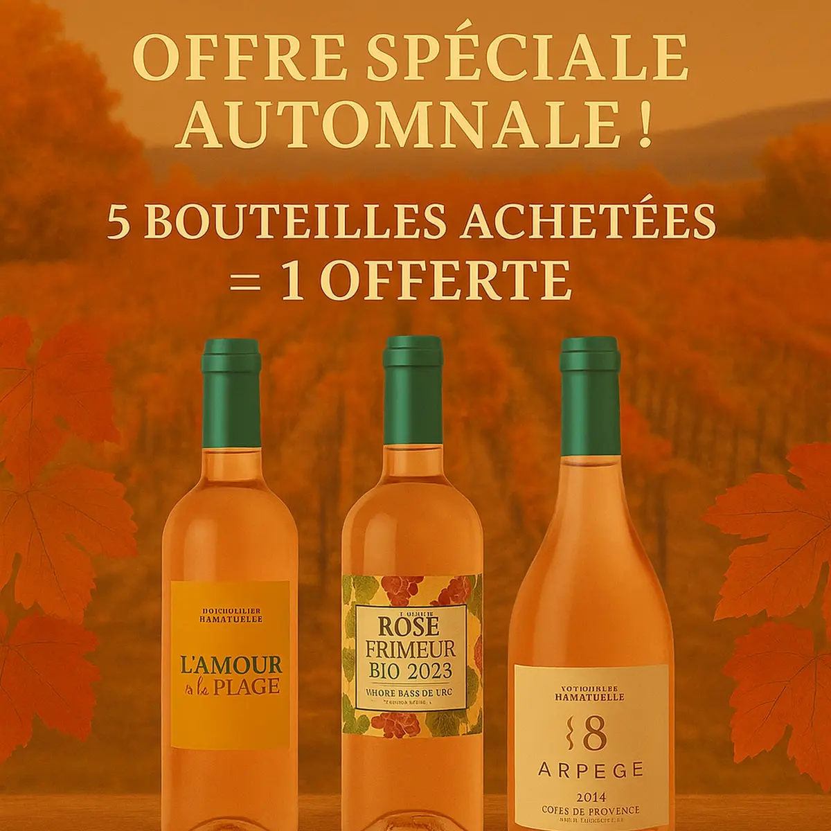 Vignobles de Ramatuelle