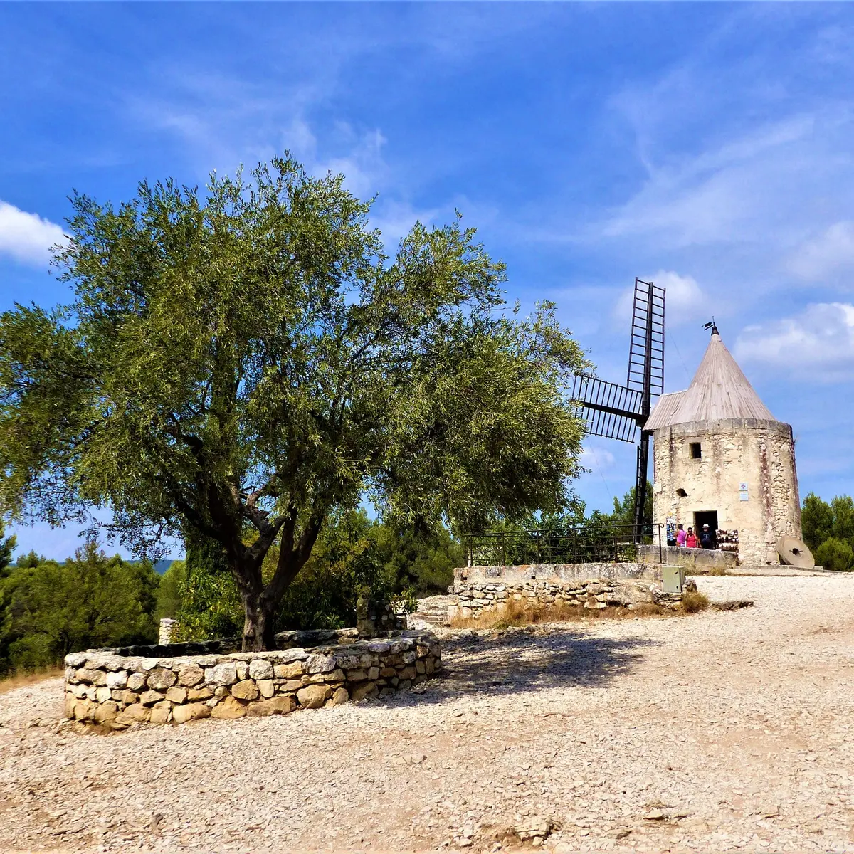 Le moulin et l'olivier