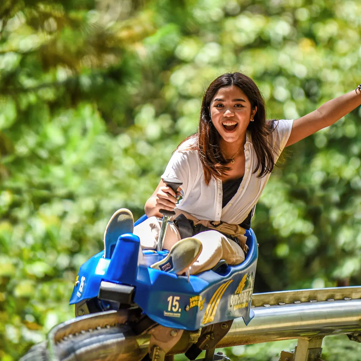 Photo de l'activité