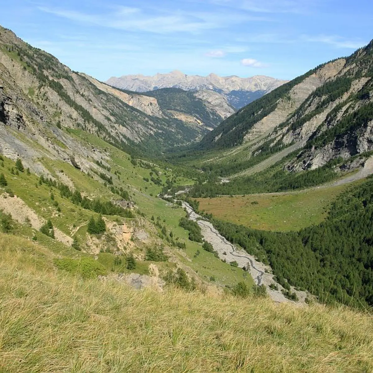 Vallon du Fournel depuis Serre Daurelle