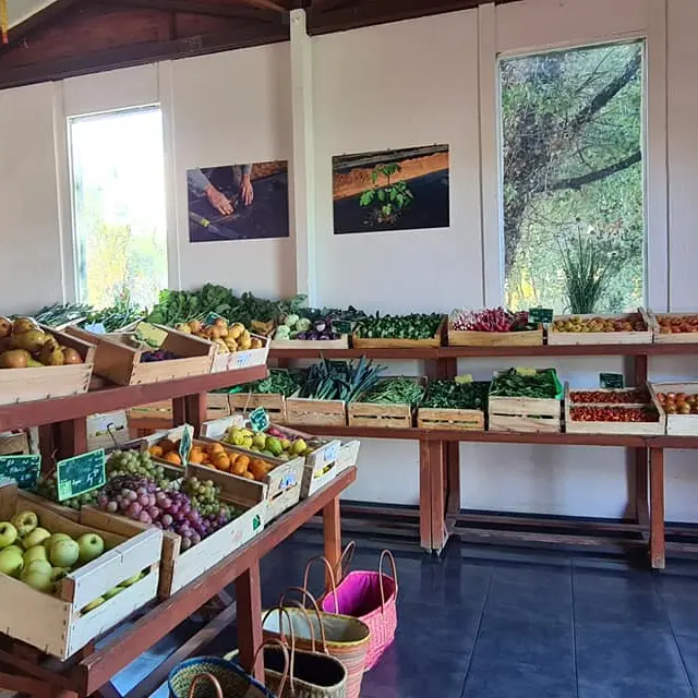 Marché légumes