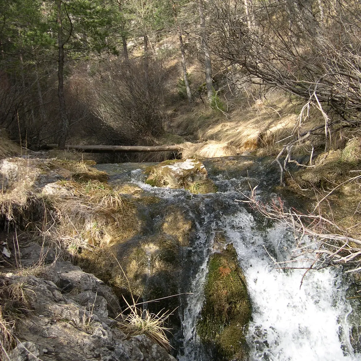 Le tour des Champons
