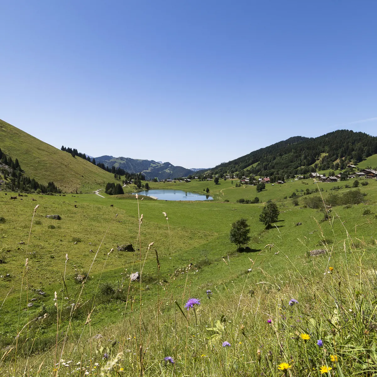 Lac des Confins