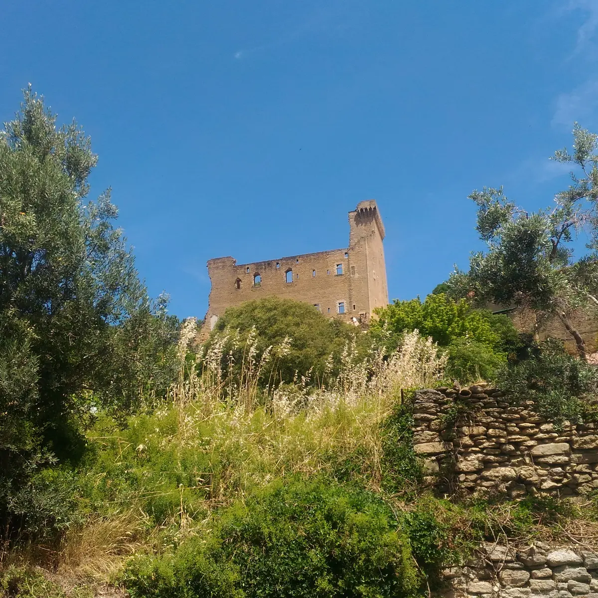 le Château des Papes