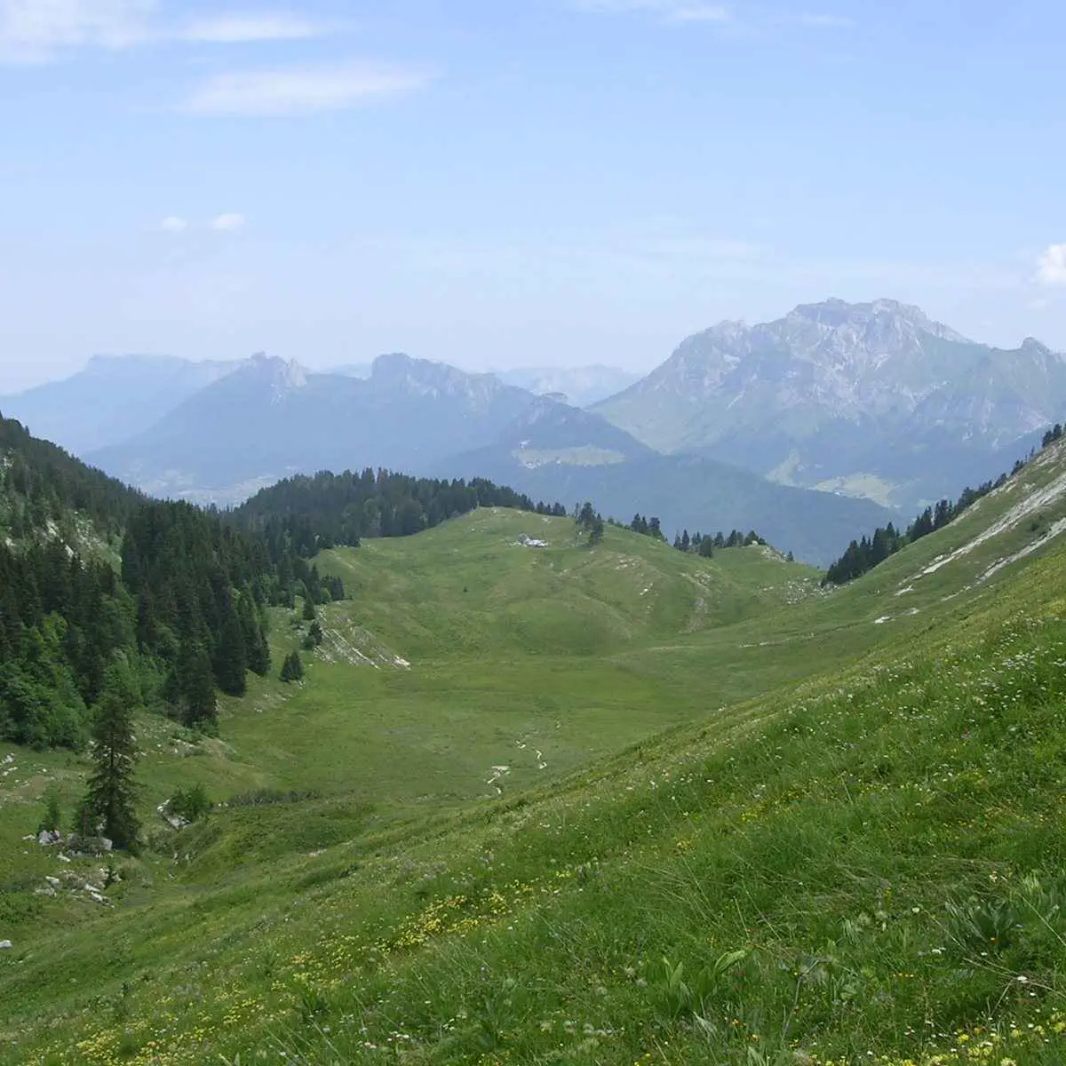 Les jeudis à l'alpage : le vrai goût de la montagne à Seythenex_Lathuile
