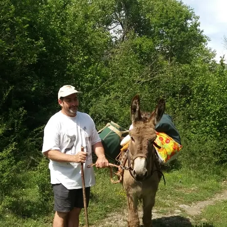 Balade avec les ânes des Villettes