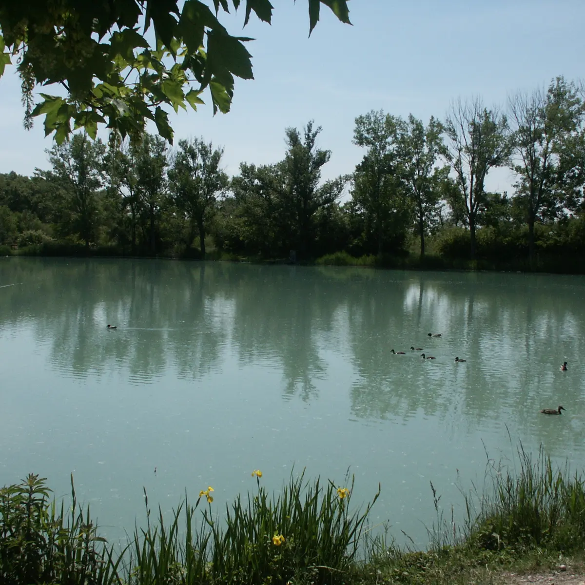 Lac de pêche