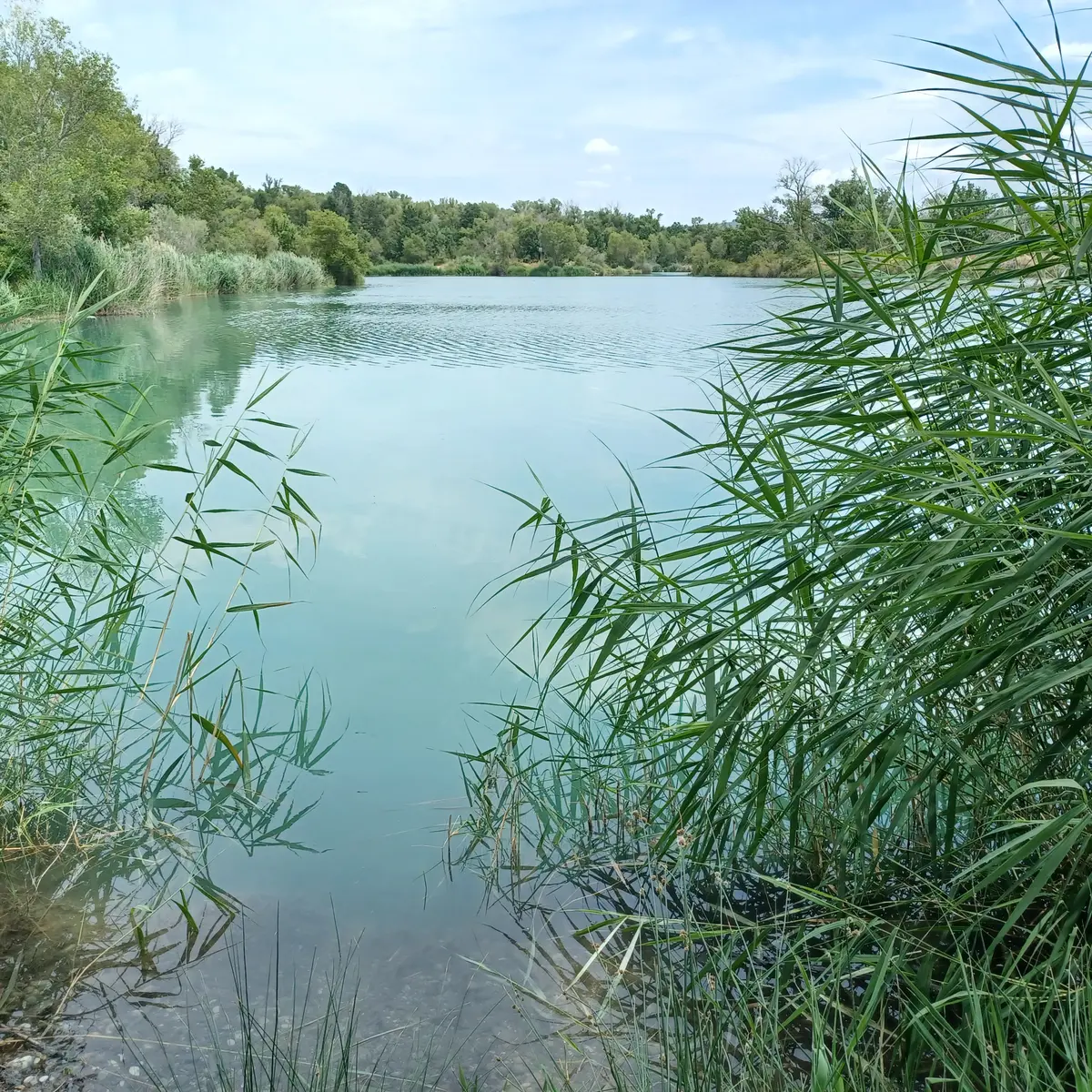Lac de la forestière