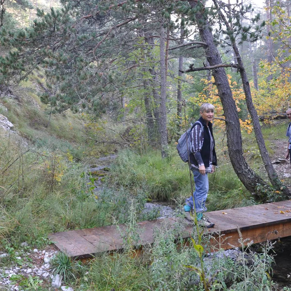 Le Tour des Champons