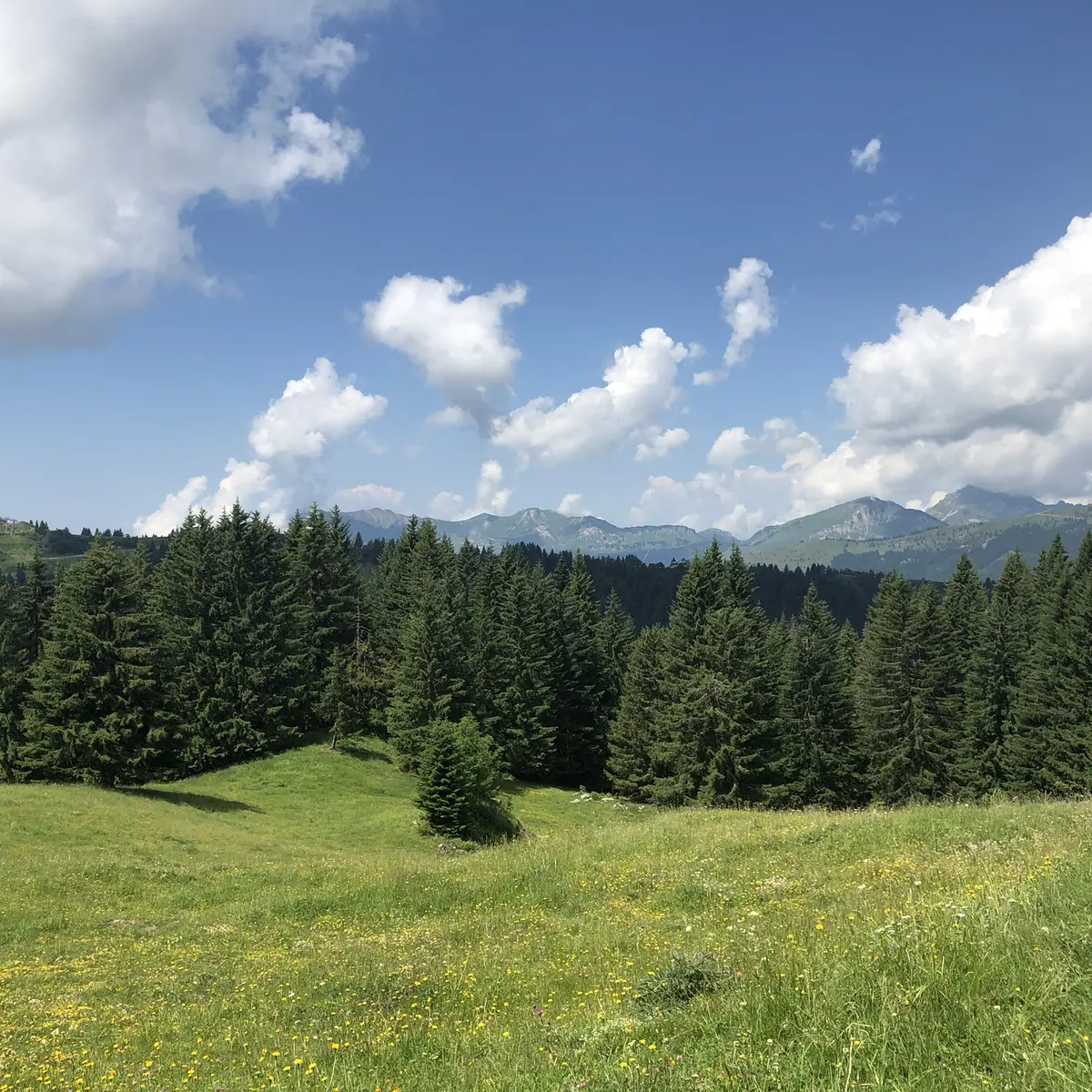 Lac de Nyon-Guérin