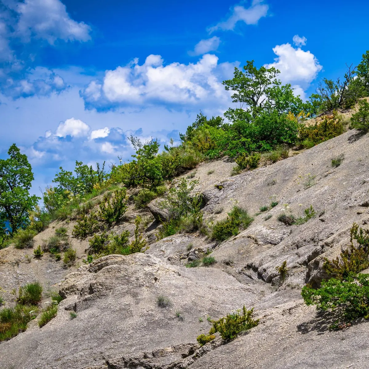 Passage dans les marnes