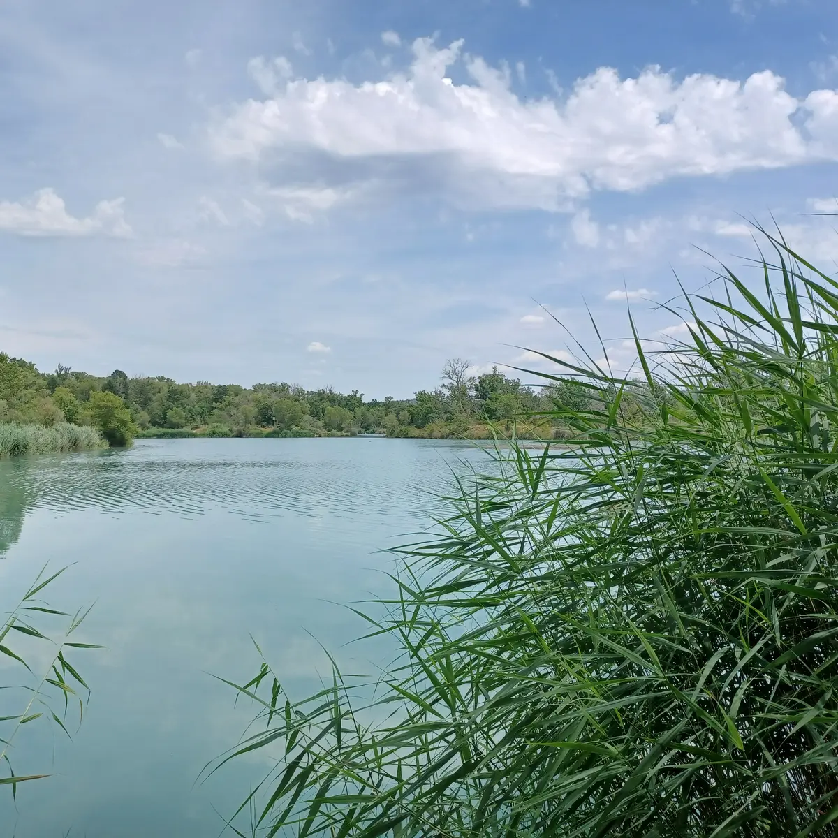 Lac de la forestière