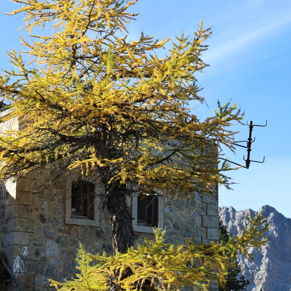 Le fort de la Lausette