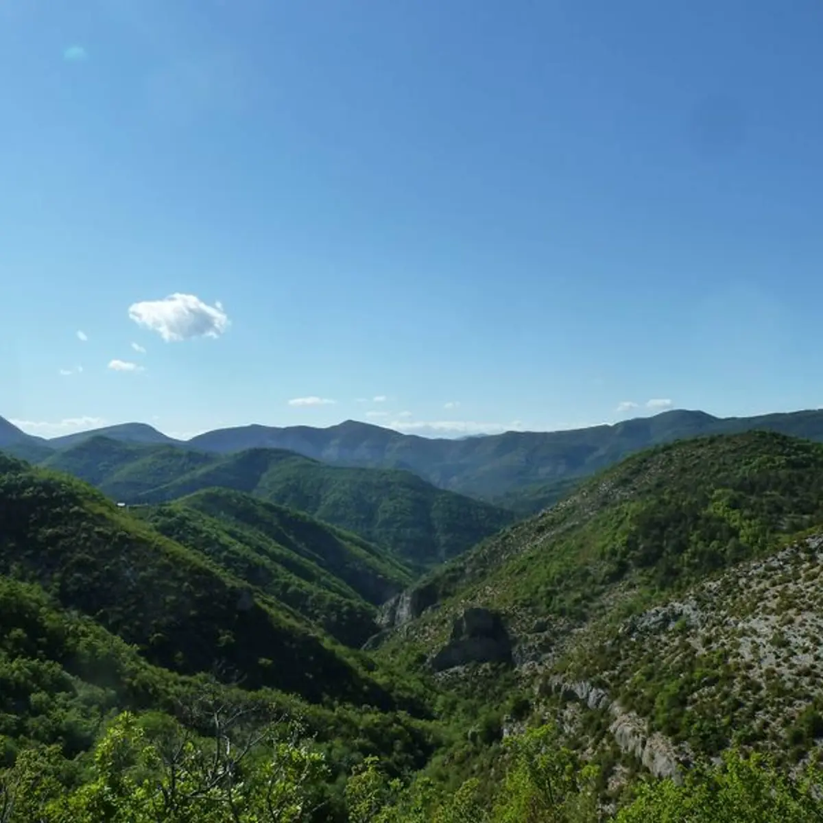 Point de vue sur le Laragnais et les pays du Buëch.
